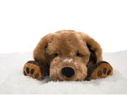 Therapeutische Tiere 6