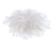 folia Flauschfedern Mix 100g farbig sortiert 4