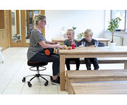 Sanus® Gesundheitsstuhl Classic Lehne fest 4