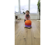 pedalo® Stapelbaustein Rollrutscher Teddy 4