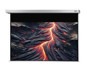 Motorleinwand Professional Plus 2