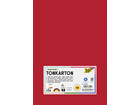 Tonkarton 160 g/m² DIN A4 500 Blatt 10 Farben