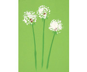 folia Tonkarton 160 g/m² DIN A4 500 Blatt 10 Farben 4