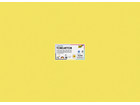 Tonkarton 220 g/m² 50 x 70 cm 100 Bogen 10 Farben