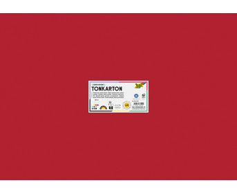 Tonkarton 160 g/m² DIN A2 125 Bogen 10 Farben