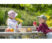 Betzold Fruit Shaker Set & Mais Guiro 5