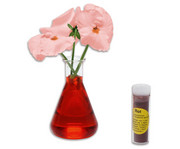 Cornelsen Experimenta Experimentierbox Naturphänomene 2