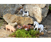 Betzold Tiere Set 26 teilig 4