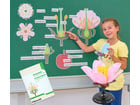 Tafelmaterial Von der Kirschblüte bis zur Frucht