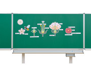 Tafelmaterial Von der Kirschblüte bis zur Frucht 2