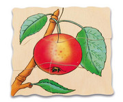 beleduc Lagenpuzzle Apfel 5