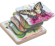 beleduc Lagenpuzzle Schmetterling 1