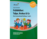 Lernwerkstatt: Frühblüher: Tulpen Krokus & Co 1