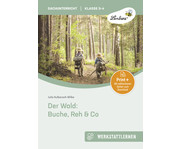 Der Wald: Buche Reh & Co 1