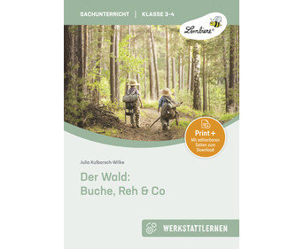 Der Wald: Buche Reh & Co