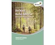 Der Wald: Buche Reh & Co 1