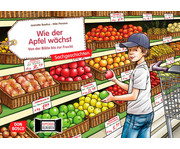 Kamishibai Bildkarten Wie der Apfel wächst 1