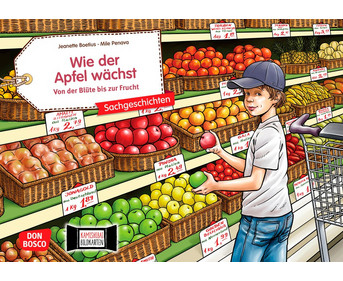 Kamishibai Bildkarten Wie der Apfel wächst
