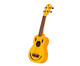 Ukulele Baton Rouge Boomwhackers Saiten 2