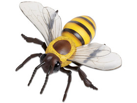 Honigbiene Modell