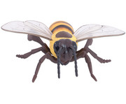 Honigbiene Modell 2