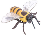Honigbiene Modell 4