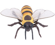 Honigbiene Modell 5