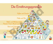 6 DIN A1 Merk Poster für den Sachunterricht 2