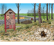 Kamishibai Bildkarten Von fleißigen Bienen und leckerem Honig 2