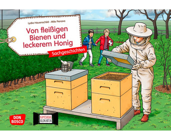Kamishibai Bildkarten Von fleißigen Bienen und leckerem Honig