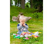 Spielautos Tiere 18 teilig 3