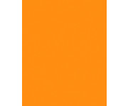 folia Tonkarton 180 g/m² DIN A4 500 Blatt 25 Farben 6