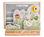 Betzold Stockwerke der Wiese 1