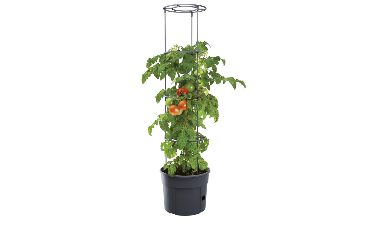 Tomaten-Pflanztopf