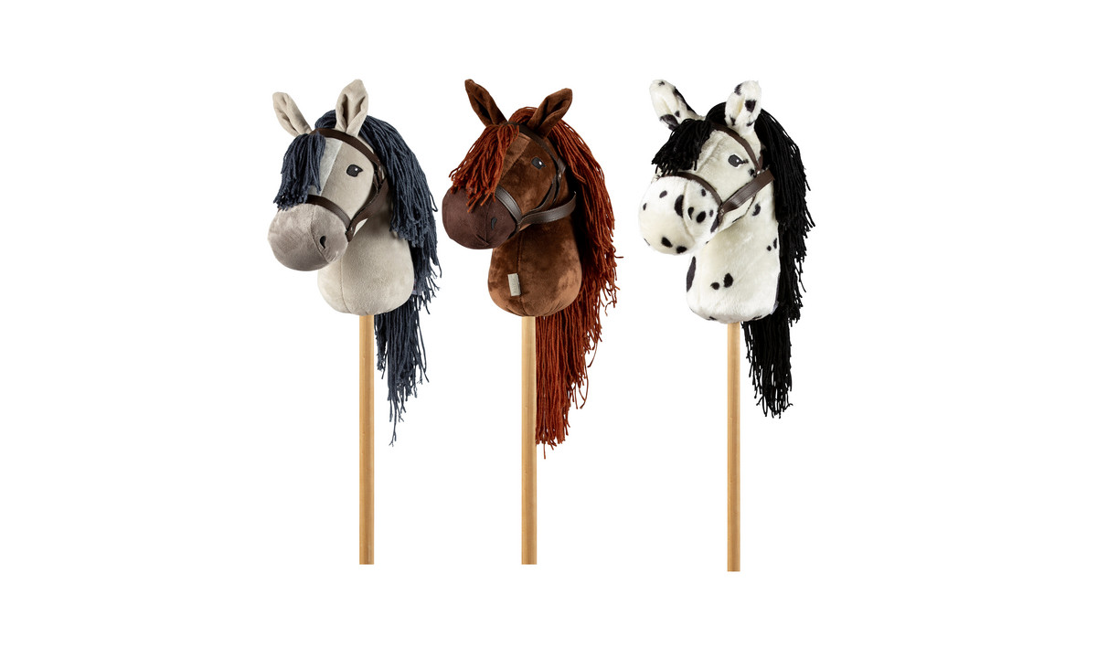 Steckenpferd „Hobby Horsing“