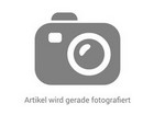 Betzold Lebenszyklus Pflanze