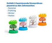 Entdecker Röhren Jahreszeiten 3