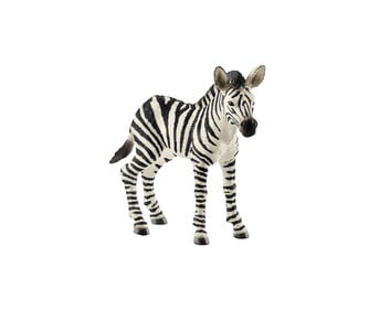 schleich® Zebrafohlen