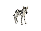 schleich® Zebrafohlen