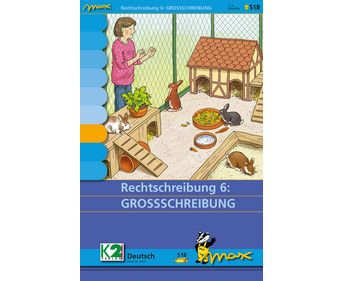 Max Lernkarten Rechtschreibung 6: Großschreibung