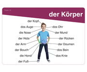 DaZ Fit Kartei inkl CD: Deutsch lernen 4
