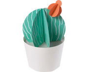 folia Fotokarton Pastell 300 g/m² 50 x 70 cm 100 Bogen 10 Farben 4