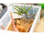 schleich® Safari Tiere 12er Set 6