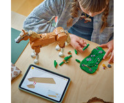LEGO® Creator Prächtiges Ross 4