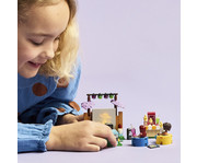 LEGO® Friends Filmabend mit Freunden 6