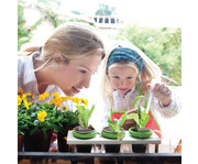 Pflanzen Labor Green Factory 3