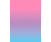 folia Transparentpapier Regenbogen 115 g/m² 22 5 x 32 cm 10 Blatt 3