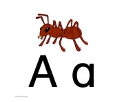 Tellimero EDU Anlautkarten 4