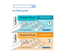 Meine Grammatikdose – Singular Plural