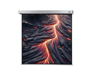 Motorleinwand Professional Plus 1